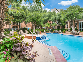 Sparkling resort style swimming pool with 2 bbq grills